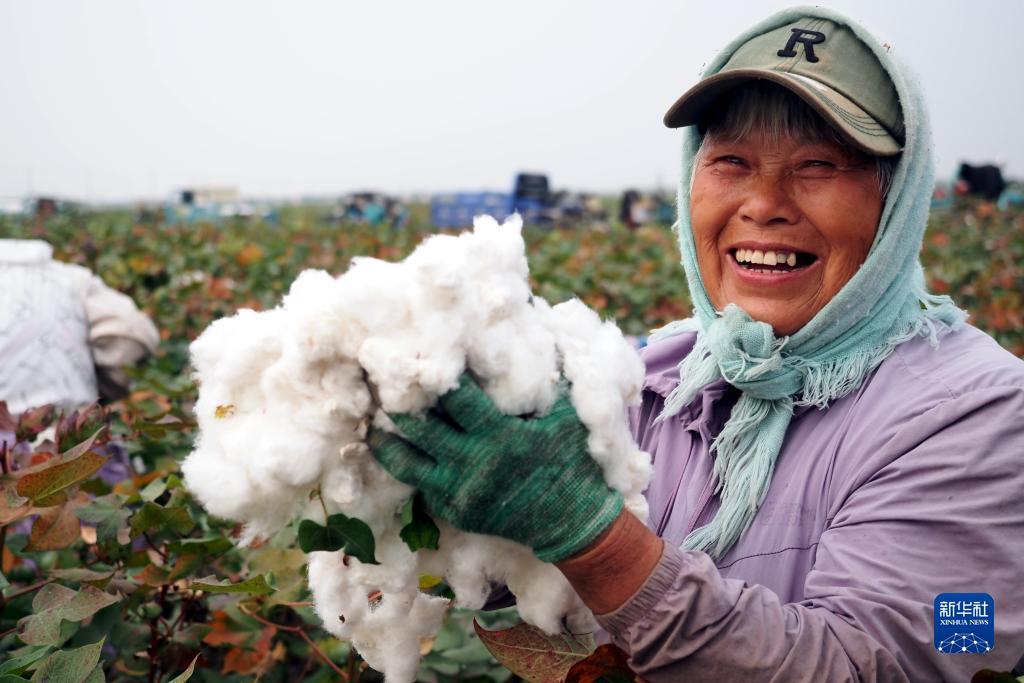 李逵捕鱼游戏大厅